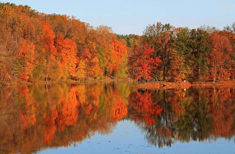 fall-2.png