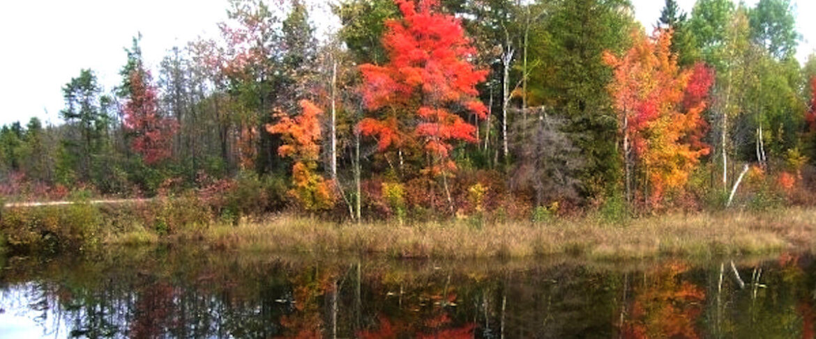 fall-colors.jpg