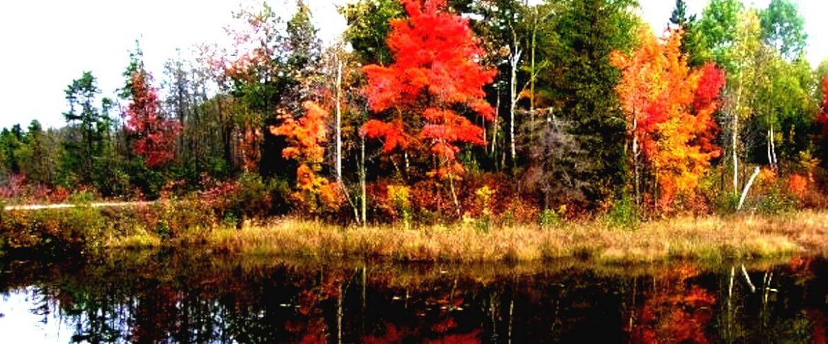 fall-colors-boost.jpg